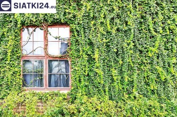 Siatki Wołów - Siatka z dużym oczkiem - wsparcie dla roślin pnących na altance, domu i garażu dla terenów Wołowa