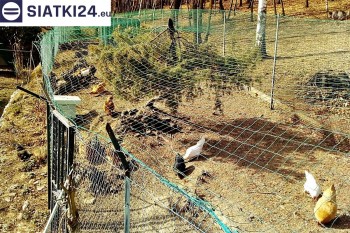 Siatki Wołów - Siatka na woliery - zabezpieczenia ptaków w hodowli dla terenów Wołowa